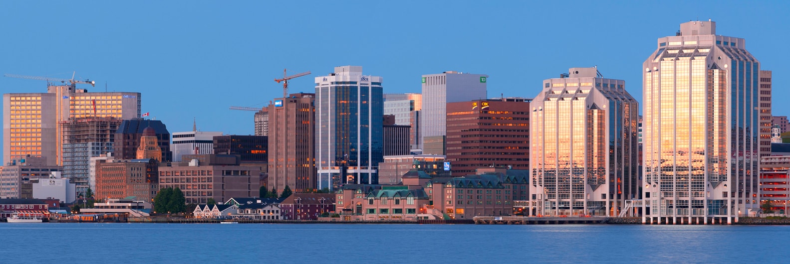 Global Case Management System notes